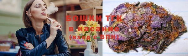 прущие крисы Арсеньев
