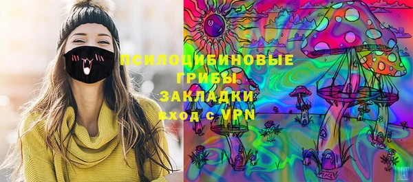 прущие крисы Арсеньев
