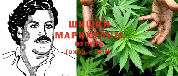 прущие крисы Арсеньев